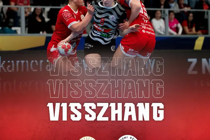  VISSZHANG  DVSC