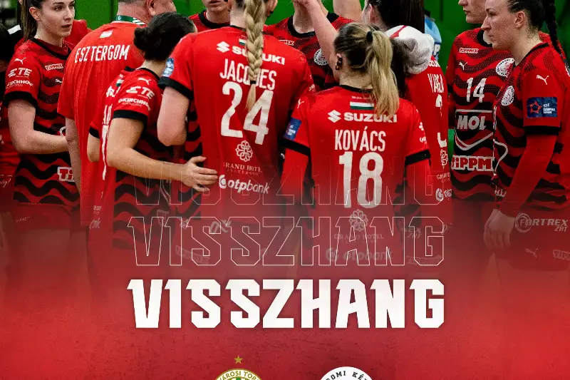  VISSZHANG  FTC