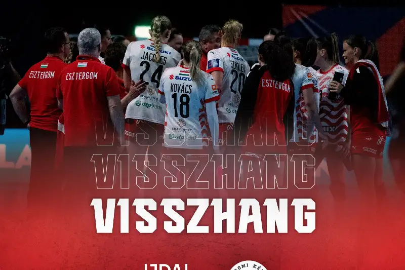  VISSZHANG  DIJON