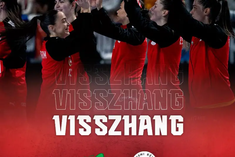  VISSZHANG  VIBORG