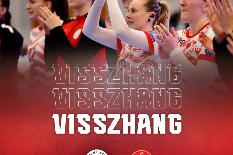 VISSZHANG  VASAS